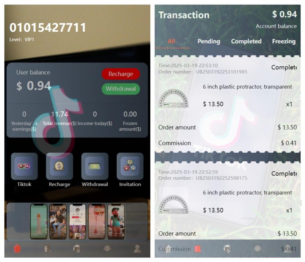 新版本海外tiktok多语言抢单系统源码/带文本搭建教程插图 4966a7f12c268b574571dab5e6734285
