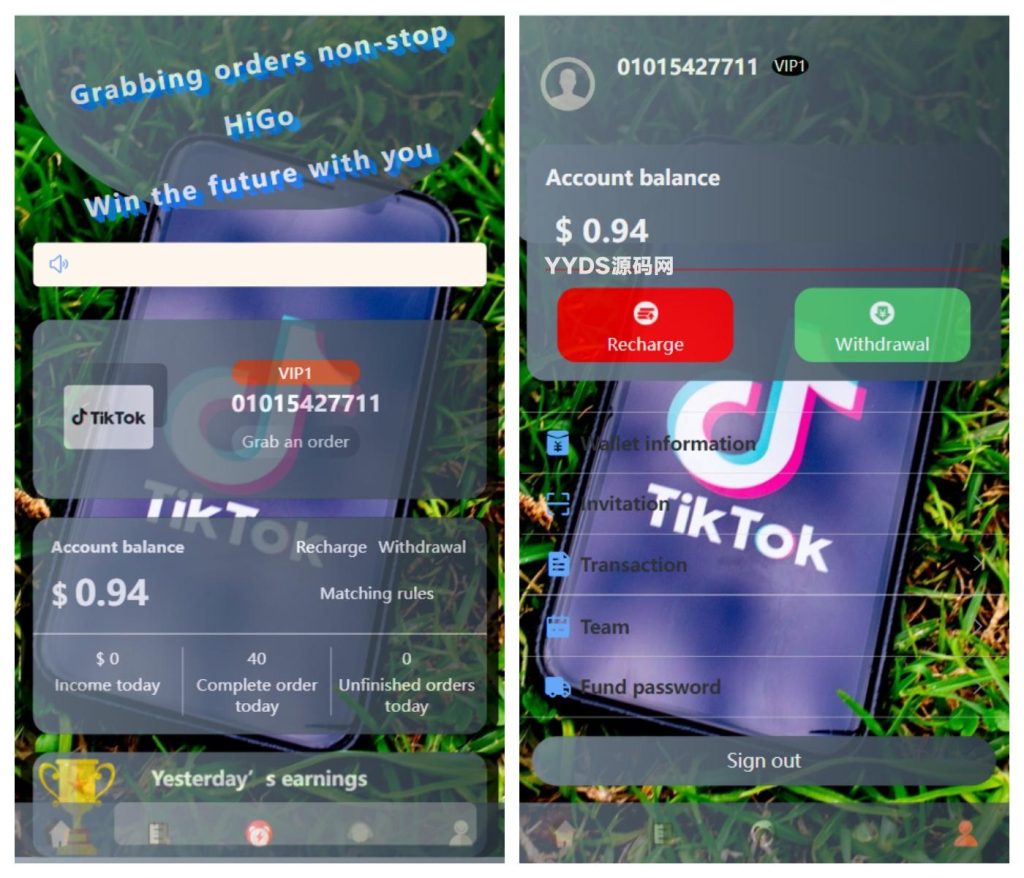 新版本海外tiktok多语言抢单系统源码/带文本搭建教程插图2 a30f4656cc746da590edacb7f13aef96